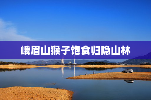 峨眉山猴子饱食归隐山林