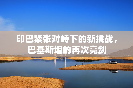 印巴紧张对峙下的新挑战，巴基斯坦的再次亮剑
