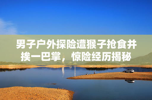 男子户外探险遭猴子抢食并挨一巴掌，惊险经历揭秘