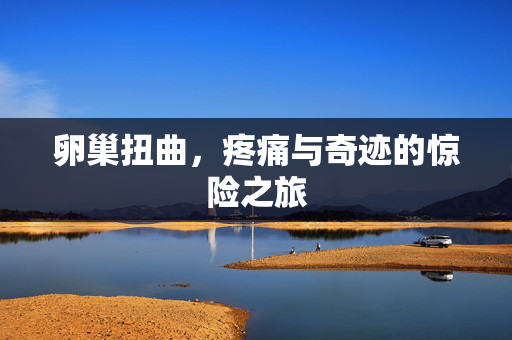 卵巢扭曲，疼痛与奇迹的惊险之旅