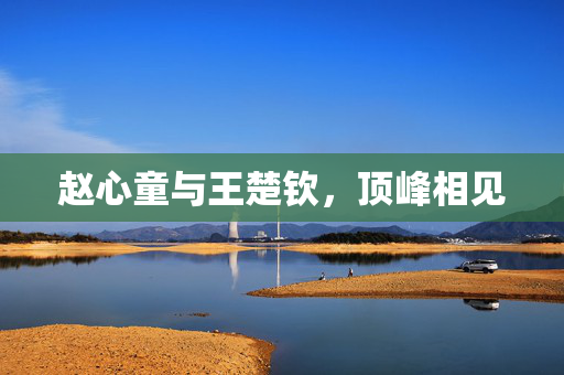 赵心童与王楚钦，顶峰相见