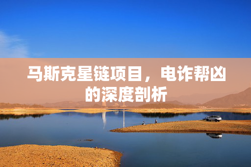 马斯克星链项目，电诈帮凶的深度剖析