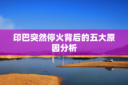 印巴突然停火背后的五大原因分析