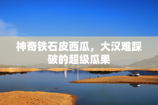 神奇铁石皮西瓜，大汉难踩破的超级瓜果