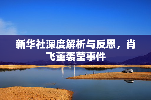 新华社深度解析与反思，肖飞董袭莹事件