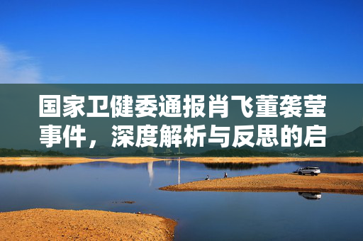 国家卫健委通报肖飞董袭莹事件，深度解析与反思的启示