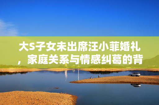 大S子女未出席汪小菲婚礼，家庭关系与情感纠葛的背后