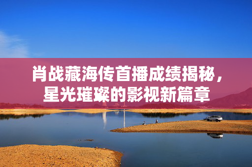 肖战藏海传首播成绩揭秘，星光璀璨的影视新篇章