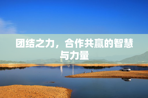 团结之力，合作共赢的智慧与力量