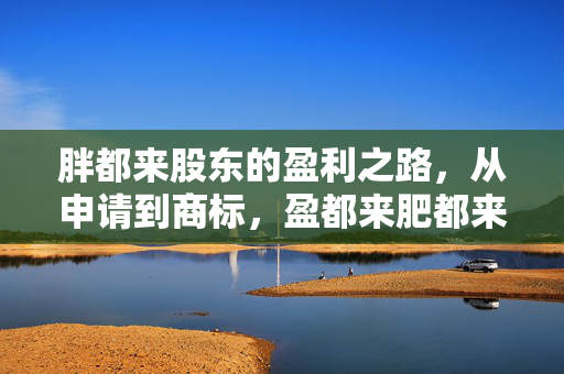 胖都来股东的盈利之路，从申请到商标，盈都来肥都来的成功故事