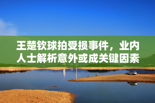 王楚钦球拍受损事件，业内人士解析意外或成关键因素