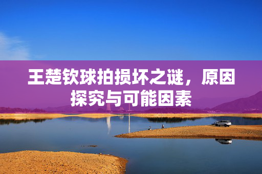 王楚钦球拍损坏之谜，原因探究与可能因素