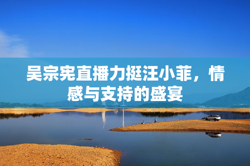 吴宗宪直播力挺汪小菲，情感与支持的盛宴