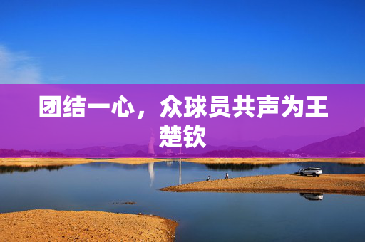 团结一心，众球员共声为王楚钦