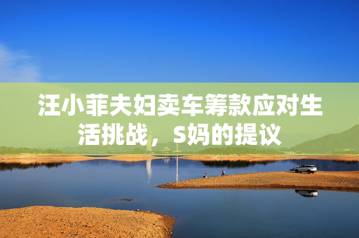 汪小菲夫妇卖车筹款应对生活挑战，S妈的提议