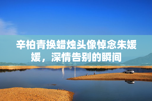 辛柏青换蜡烛头像悼念朱媛媛，深情告别的瞬间