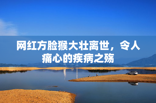 网红方脸猴大壮离世，令人痛心的疾病之殇