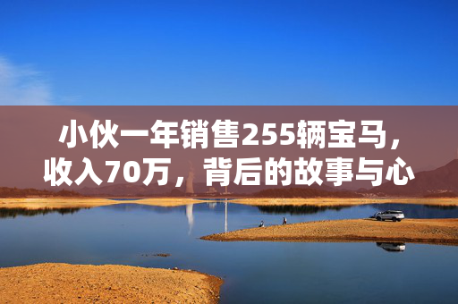 小伙一年销售255辆宝马，收入70万，背后的故事与心得分享