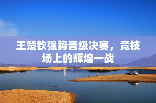 王楚钦强势晋级决赛，竞技场上的辉煌一战