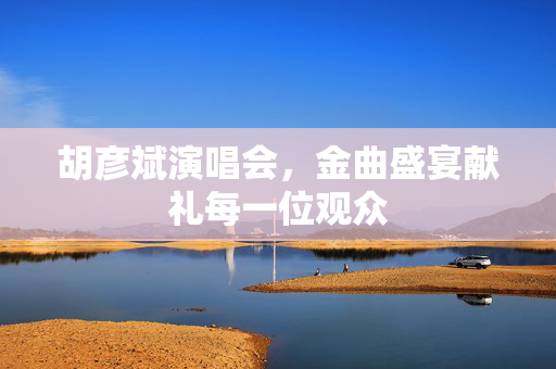 胡彦斌演唱会，金曲盛宴献礼每一位观众
