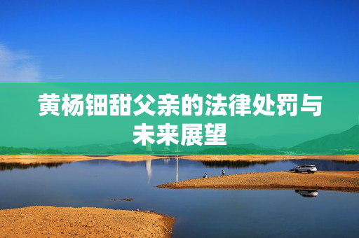 黄杨钿甜父亲的法律处罚与未来展望