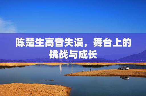 陈楚生高音失误，舞台上的挑战与成长