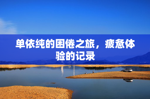 单依纯的困倦之旅，疲惫体验的记录