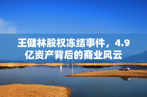 王健林股权冻结事件，4.9亿资产背后的商业风云