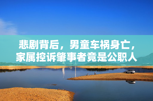 悲剧背后，男童车祸身亡，家属控诉肇事者竟是公职人员