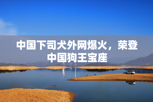 中国下司犬外网爆火，荣登中国狗王宝座