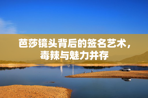 芭莎镜头背后的签名艺术，毒辣与魅力并存