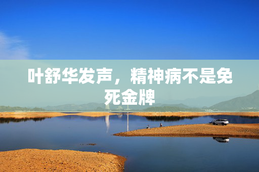 叶舒华发声，精神病不是免死金牌