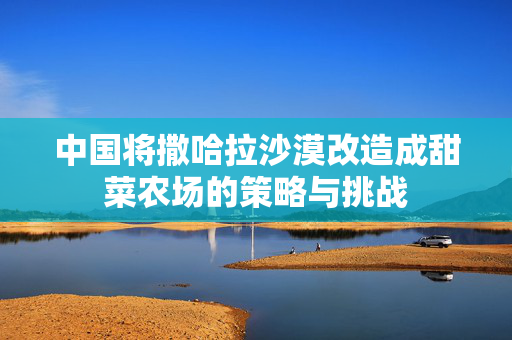 中国将撒哈拉沙漠改造成甜菜农场的策略与挑战