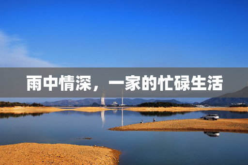 雨中情深，一家的忙碌生活