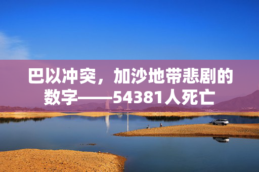 巴以冲突，加沙地带悲剧的数字——54381人死亡
