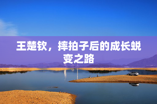 王楚钦，摔拍子后的成长蜕变之路