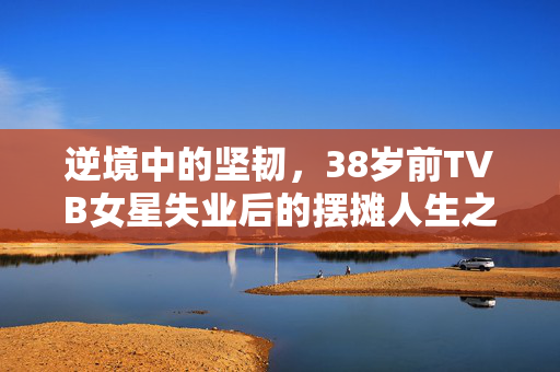 逆境中的坚韧，38岁前TVB女星失业后的摆摊人生之旅