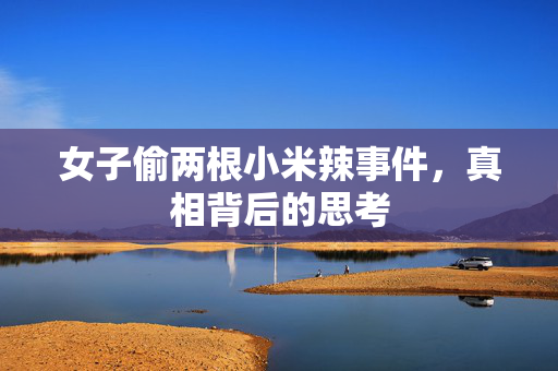 女子偷两根小米辣事件，真相背后的思考