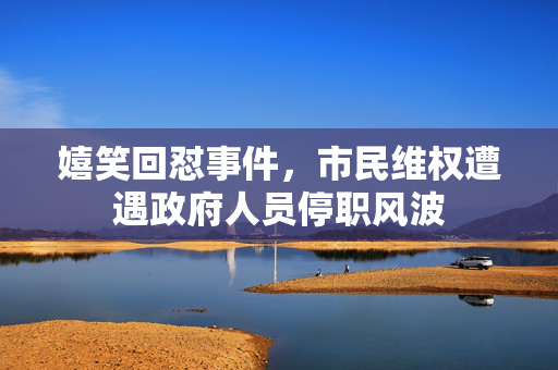 嬉笑回怼事件，市民维权遭遇政府人员停职风波