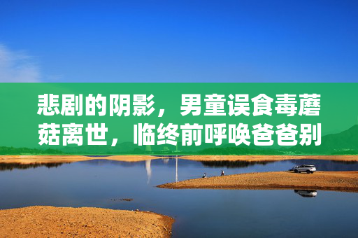 悲剧的阴影，男童误食毒蘑菇离世，临终前呼唤爸爸别担心我