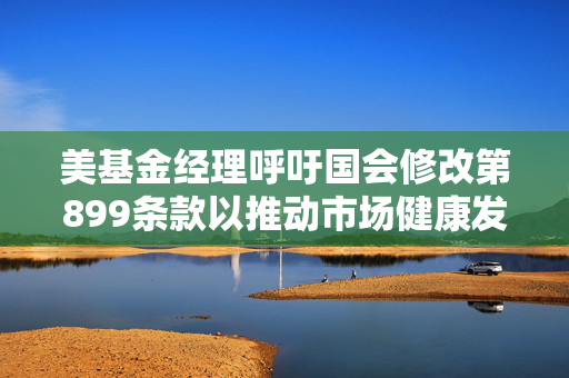 美基金经理呼吁国会修改第899条款以推动市场健康发展