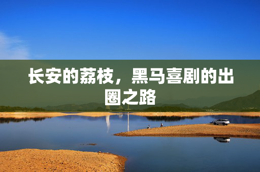 长安的荔枝，黑马喜剧的出圈之路