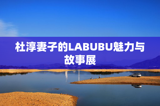 杜淳妻子的LABUBU魅力与故事展