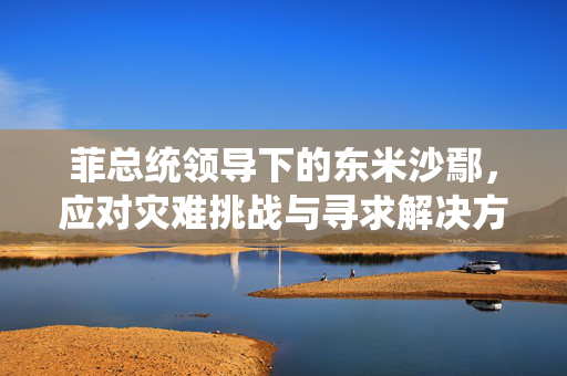菲总统领导下的东米沙鄢，应对灾难挑战与寻求解决方案