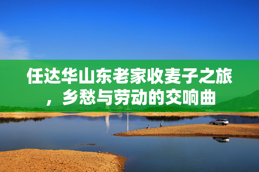任达华山东老家收麦子之旅，乡愁与劳动的交响曲
