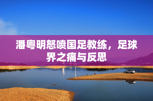 潘粤明怒喷国足教练，足球界之痛与反思