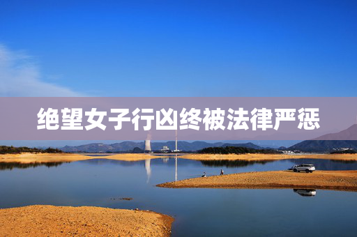 绝望女子行凶终被法律严惩