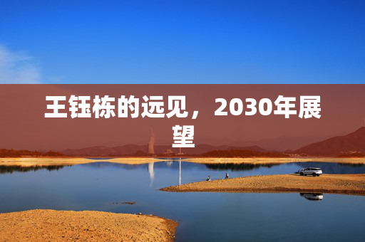 王钰栋的远见，2030年展望