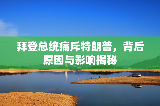 拜登总统痛斥特朗普，背后原因与影响揭秘