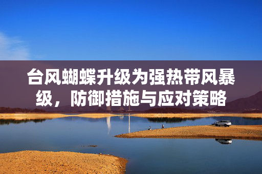 台风蝴蝶升级为强热带风暴级，防御措施与应对策略